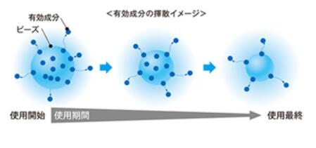 Kincho 虫コナーズ ビーズタイプ 250日用 中国在住日本人の為の